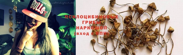 прущие крисы Сафоново